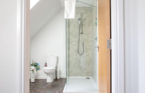 a bathroom with a shower and a toilet at One Mill Lands in Uig