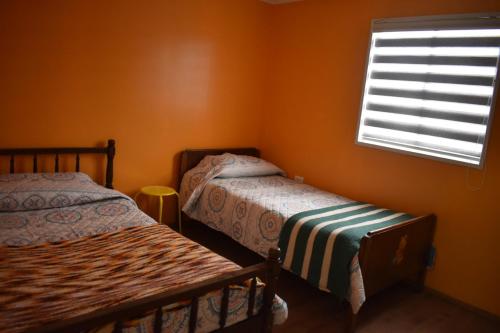瓦爾迪維亞的住宿－CABAÑA 2 TINAJA-PISCINA-QUINCHO，一间卧室设有两张床和窗户。
