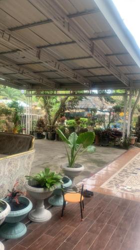 een patio met potplanten en een stoel bij RV Residence in Tebingtinggi