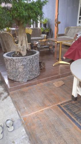 een woonkamer met een bonsaiboom op een houten vloer bij RV Residence in Tebingtinggi