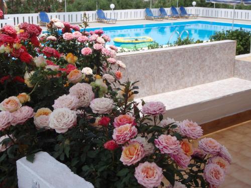 a bunch of flowers next to a swimming pool at Villas Michalis in Chorafakia