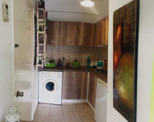 a kitchen with a washing machine and a sink at Ayia Napa Cyprus in Paralimni