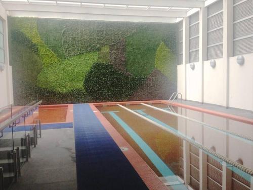 Billede fra billedgalleriet på Home sweet home in CDMX near Polanco and Reforma i Mexico City