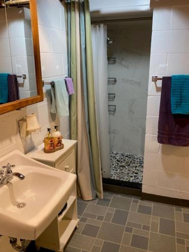 a bathroom with a sink and a shower at Spacious lower level living all for you! in Corvallis