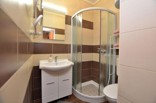 a bathroom with a sink and a shower at Apartments Pintar in Novigrad Istria