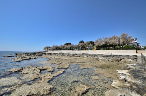a beach with some rocks and the water at Apartments Pintar in Novigrad Istria