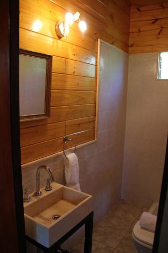 a bathroom with a sink and a toilet at Cabaña El Mahayana in Tigre