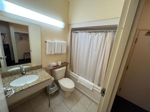 a bathroom with a toilet and a sink and a shower at Fairview Inn in Simcoe