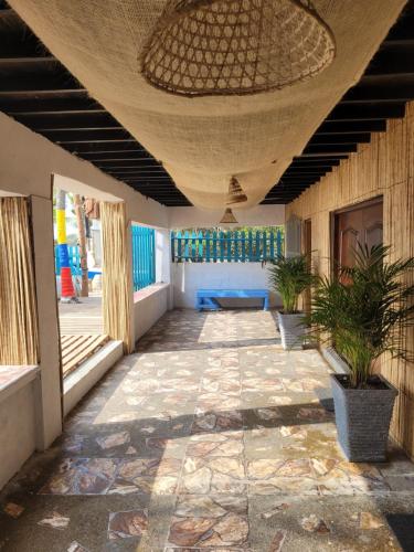 una camera con un patio con piante e un soffitto di Tolu paradise 101 a San Silvestre
