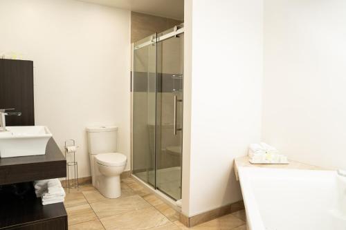 a bathroom with a shower and a toilet and a sink at Hôtel Énergie Shawinigan in Shawinigan