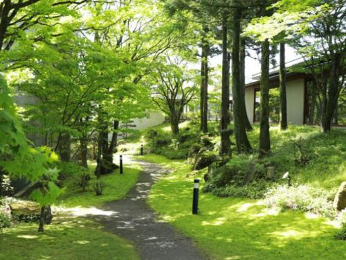 Paisaje cerca de este ryokan