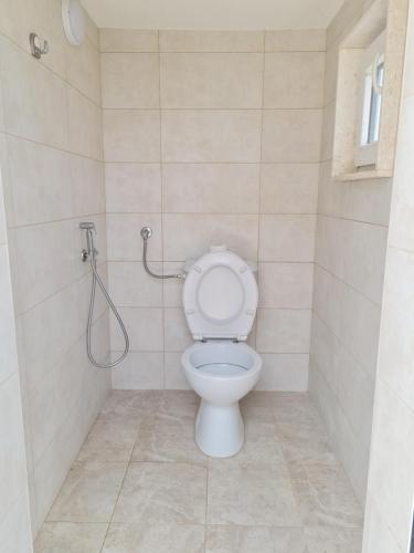 a bathroom with a toilet and a shower at Apartments "Old house Mustafic" in Bar