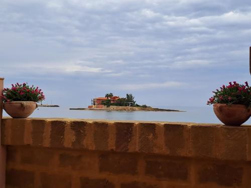 two potted plants sitting on a wall near the ocean at La Casa sulla Spiaggia in Marzamemi