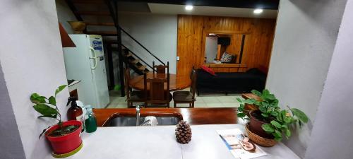 cocina con fregadero y sala de estar. en "Antúbea" Departamento particular en San Martín de los Andes