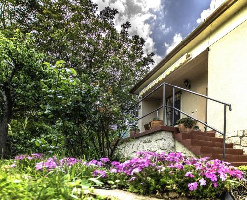 Diófa Apartman Balatonederics 8312 Balatonederics, Dózsa utca kép - 3