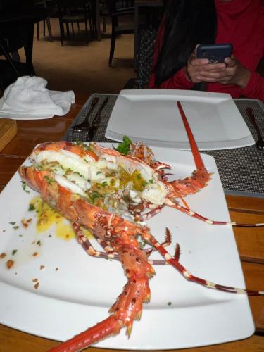 a lobster on a white plate on a table at 5 Min Walk To Famous Blue Water Resort And Tourist Area in Maribago