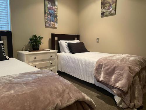 a bedroom with two beds and a dresser and a plant at Maddisons Garden Guest Suite - Coatesville in Albany