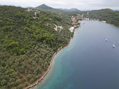 an aerial view of a beach with boats in the water at Apartment Kod Jadranke in Šipanska Luka