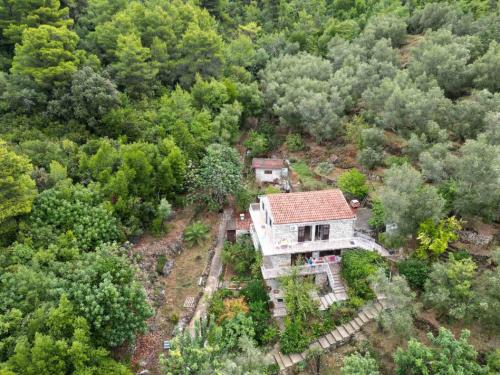 an aerial view of a house in the woods at Apartment Kod Jadranke in Šipanska Luka