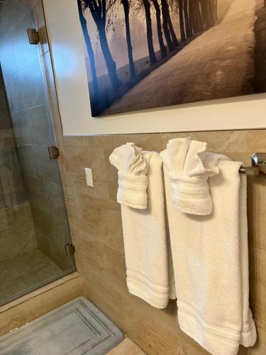 two towels are hanging on a wall in a bathroom at condominiums in Los Angeles