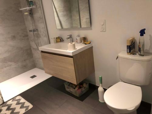 een badkamer met een toilet, een wastafel en een douche bij LA FERME DE RUSSÉ in Allonnes