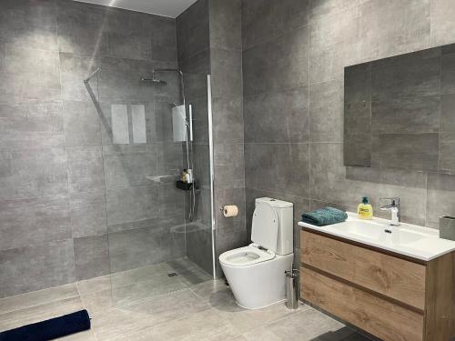 a bathroom with a shower and a toilet and a sink at Stasinou 52 in Limassol
