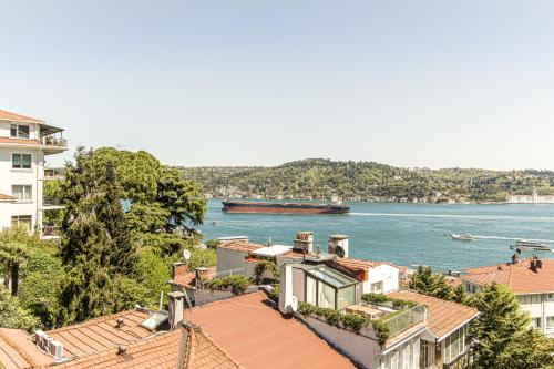 a large boat on the water with buildings and trees at Bosphorus View Flat With Terrace in Arnavutkoy in Istanbul
