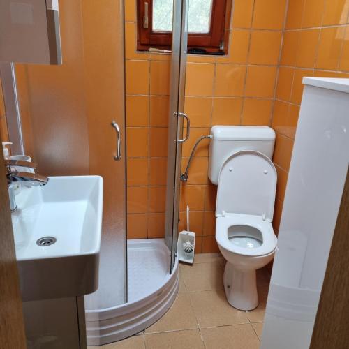 a bathroom with a toilet and a sink and a shower at Kuća za odmor Marija in Gračac
