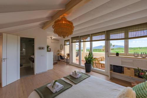 Views, pool & home office - Optic Fibre