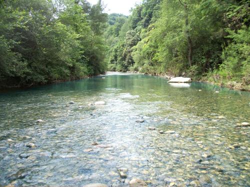 a river in the middle of a forest at Agriturismo Fontenuova in Saturnia