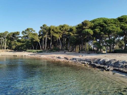 Φυσικό τοπίο κοντά σε αυτό το διαμέρισμα