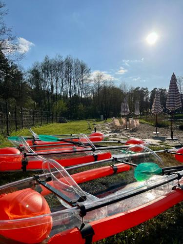 a row of kayaks lined up in a park at Ironland Roztocze in Ruda Żelazna
