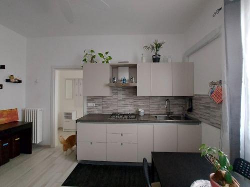 una cocina con armarios blancos y un perro en una habitación en Il Barone Rosso B&B, en Lecce