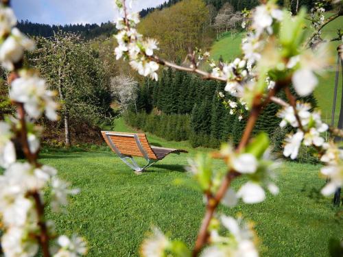 a park bench in a field of grass with flowers at Bühlbauernhof in Bad Peterstal-Griesbach