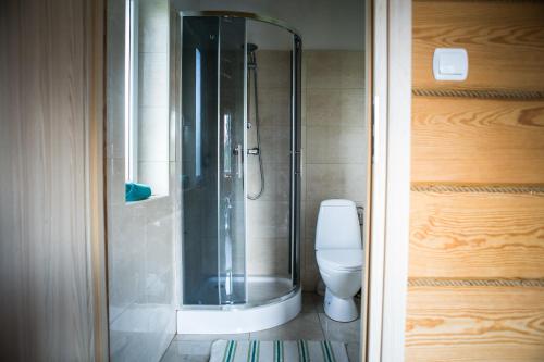 a bathroom with a shower and a toilet at Radawa Family Space in Radawa