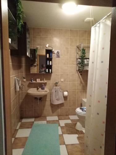 a bathroom with a sink and a toilet at Studiowohnung, Neu renoviert, zentrale Lage in Saarlouis