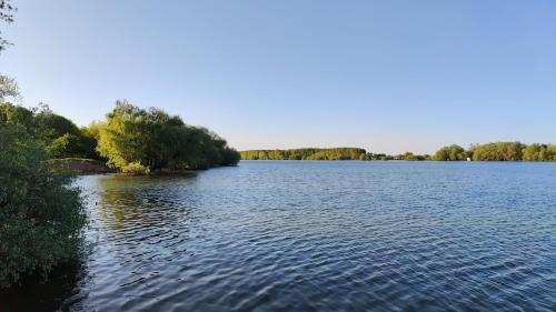 duże jezioro z drzewami po jego stronie w obiekcie Hotel plutitor Sofia-Maria w mieście Uzlina