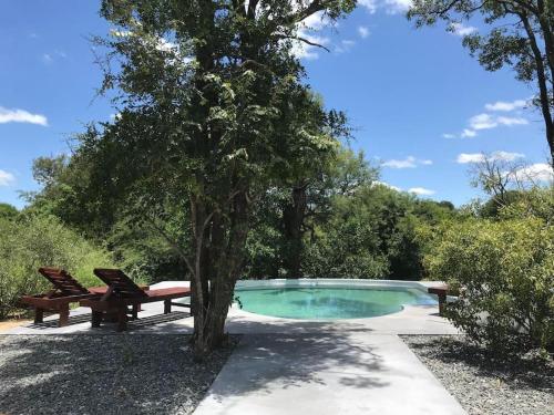 Leadwood Tree Safari Lodge - Tamboti Lodge 45 tesisinde veya buraya yakın yüzme havuzu