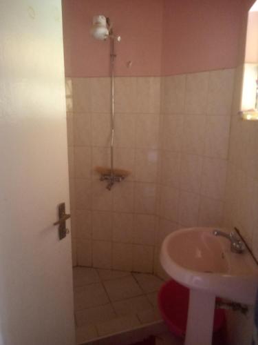 W łazience znajduje się prysznic, toaleta i umywalka. w obiekcie Key's Place w mieście Ambira