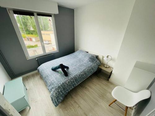Un dormitorio con una cama con un zapato negro. en L'appartement Lafayette rive gauche en Rouen