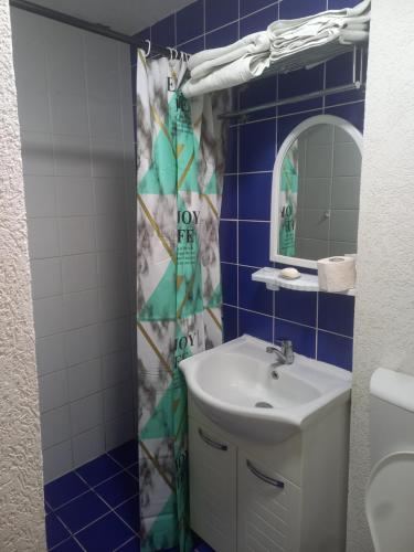 a bathroom with a sink and a shower curtain at Lion Guest House in Skopje