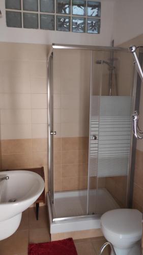 a bathroom with a shower and a toilet and a sink at LA BOMBONIERA in Carpinone