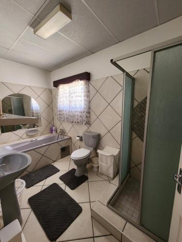 een badkamer met een toilet, een wastafel en een douche bij DE JAGTER'S NEST in Otavi