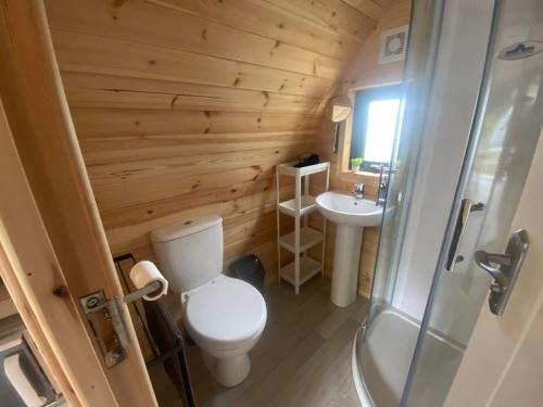 a small bathroom with a toilet and a sink at Glamping at Share Discovery Village in Lisnaskea