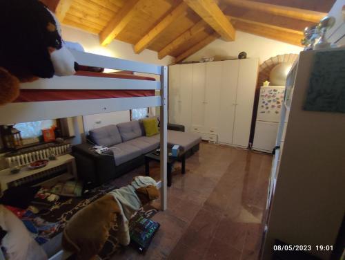 Zagliano的住宿－Stanza spaziosa，一只狗站在带双层床的客厅