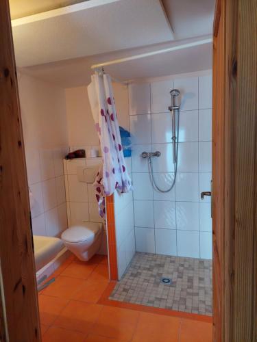 ein Bad mit einer Dusche, einem WC und einem Duschvorhang in der Unterkunft Pension zum Meer in Breege