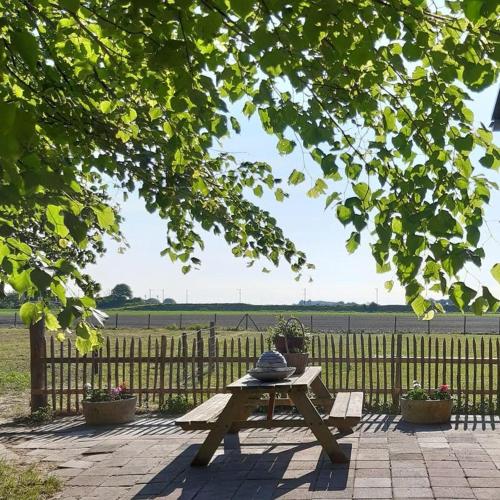 a picnic table under a tree in front of a fence at Luxe appartement Droom in de polder -DE SALON- met prive-sauna in Arnemuiden