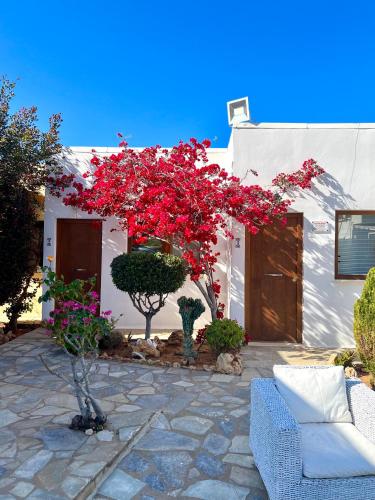 a white building with red flowers in a courtyard at Kali Holiday Apartments in Stalís