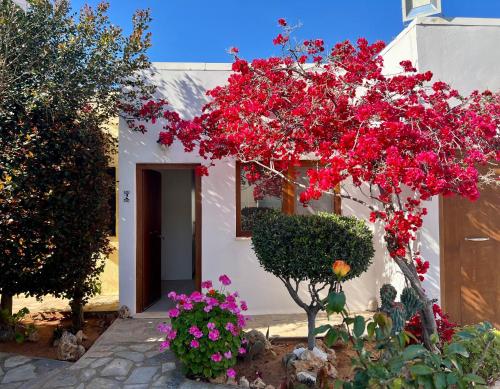 a white house with red flowers in front of it at Kali Holiday Apartments in Stalida