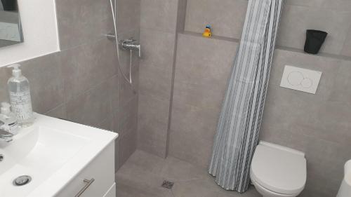 een badkamer met een douche, een toilet en een wastafel bij Ferienhaus Im Gäßchen in Kordel